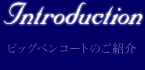 ビッグベンコートのご紹介